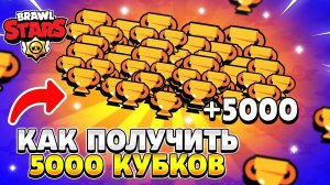 Как получить 5000 кубков в brawl stars