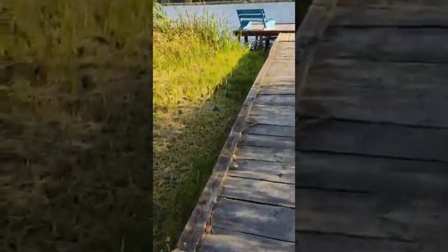 Сектор №6 смотреть онлайн