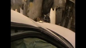 Как снять уплотнитель дверей  PEUGEOT 406.