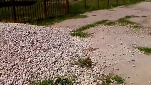 Пугачёвский Тракт,д.61,Гуренков Д.А.