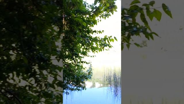 на озере мангупском красивая природа