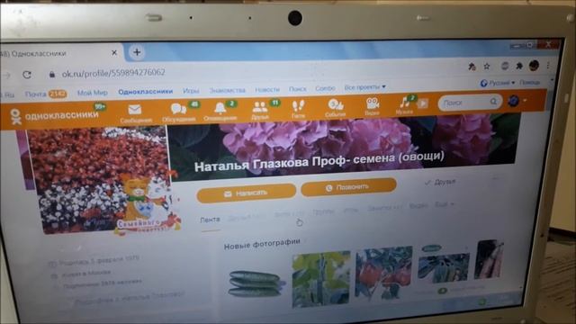 Где заказать  профессиональные семена томатов. Профсемена овощей интернет заказ .