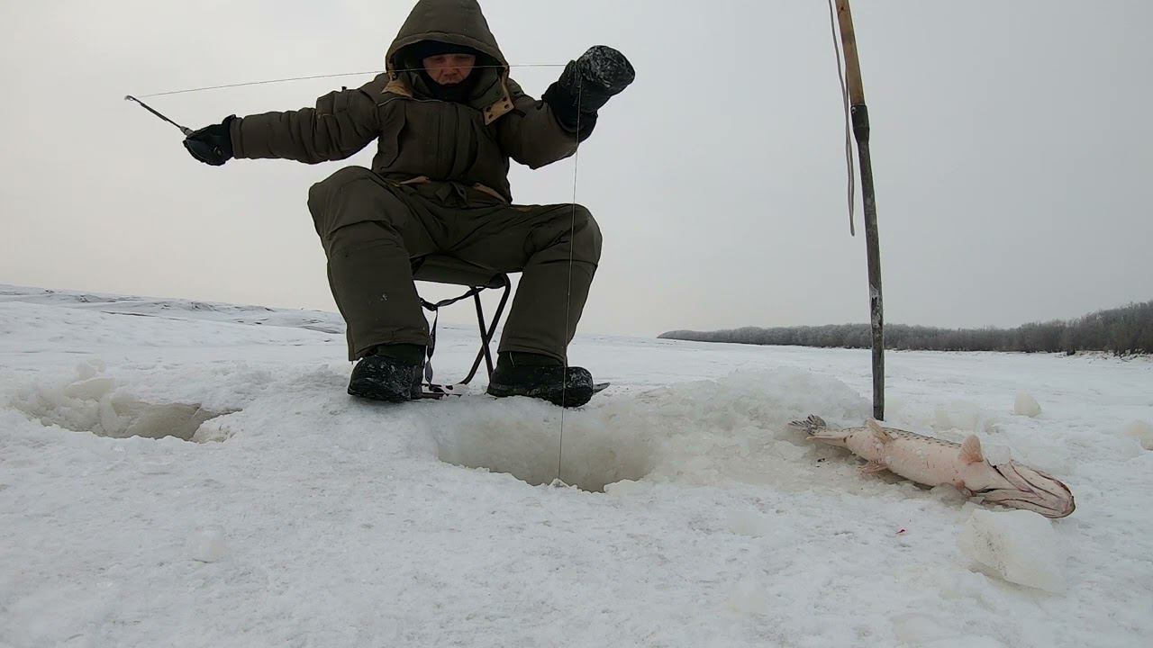 Поехал на рыбалку 31 декабря. И не ЗРЯ. С Новым годом! смотреть онлайн