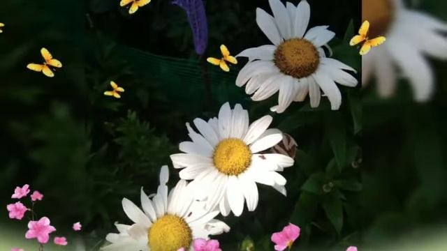 Цветы без повода ? смотреть онлайн