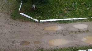 рыболовная база "Торчино"