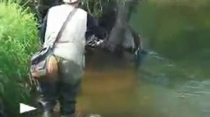 Ловля ручьевой форели на спиннинг