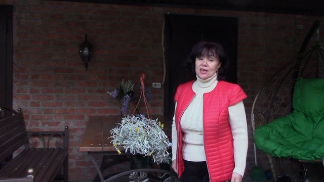 Пересадка неизбежна!.mp4 смотреть онлайн