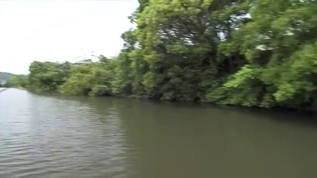 Сейджи Като. Ловим вместе с главным разработчиком воблеров Jackall. смотреть онлайн