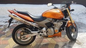 HONDA CB 600 HORNET  2005