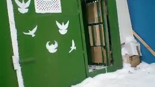 Ястреб 1