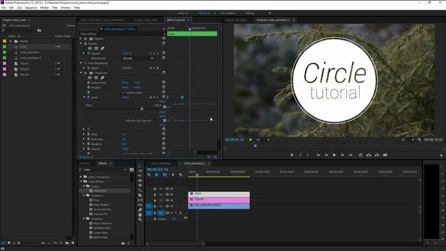 Анимация окружностей в Adobe Premiere Pro смотреть онлайн