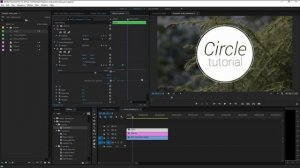 Анимация окружностей в Adobe Premiere Pro