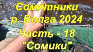 Сомятники: р. Волга 2024. Часть - 18. "Сомики".