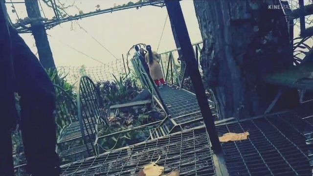 tree house BETEL VALLEY THREE RESORT East Sikkim rangpo смотреть онлайн