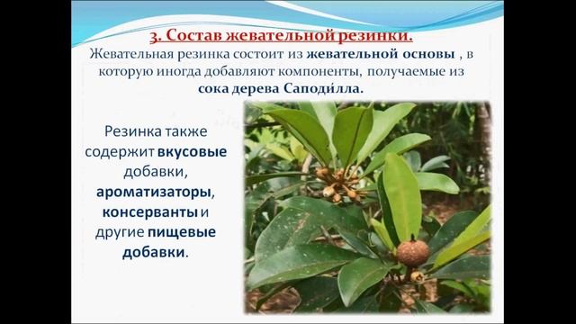 Жевательная резинка. Технологии. Исследование