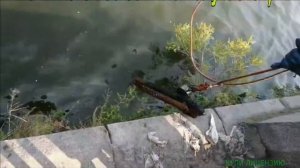 Классные находки на поисковый магнит №24 31 08 21