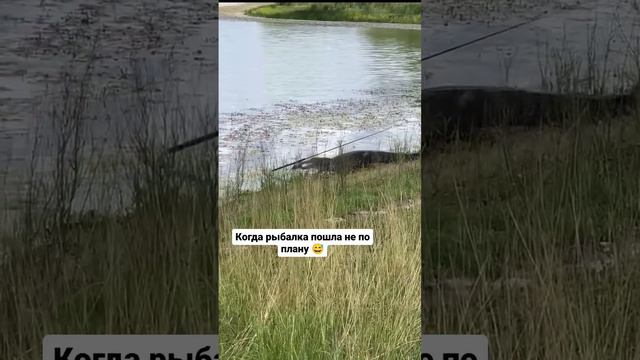 Астраханский крокодил опять отлечился