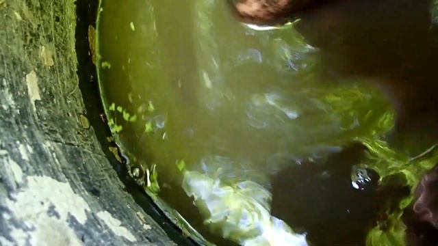 CLAY PIPE HOARD PART 3 смотреть онлайн