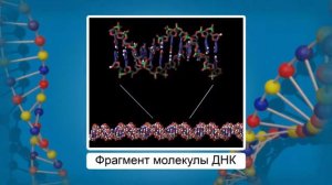 Признаки живых организмов