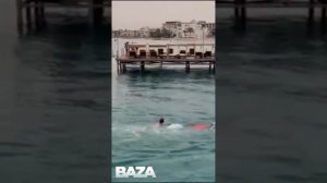 Акула напала на туриста возле берега пляжа в Хургаде. Его девушка успела спастись от хищника