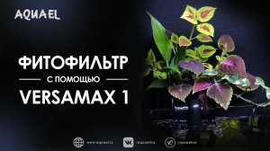 Простой фитофильтр для аквариума