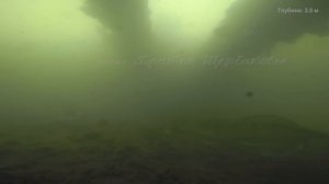 Виб (Vib) и бокоплав в СУДАКОВОМ домике! Подводная съемка. РЕАКЦИЯ клыкастых, МЫСЛИ и ВЫВОДЫ!