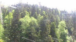 Роберт Рождественский. Я в глазах твоих утону, можно?