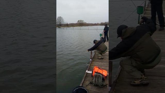 спиннинг Extreme Line New EL732XUL 0,5-6 грамм, ловля форели на платнике смотреть онлайн