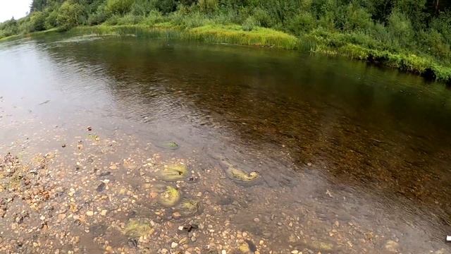 Рыбалка нахлыстом на красивой речке смотреть онлайн