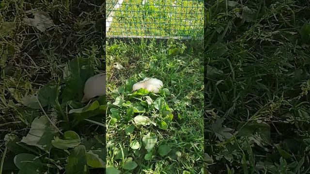 Суровая жизнь. Встреча родственников.