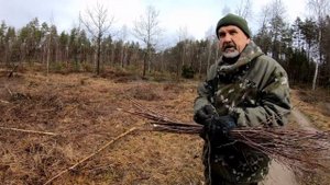 Веник для подметания из березовых веток своими руками. Чем подметать двор