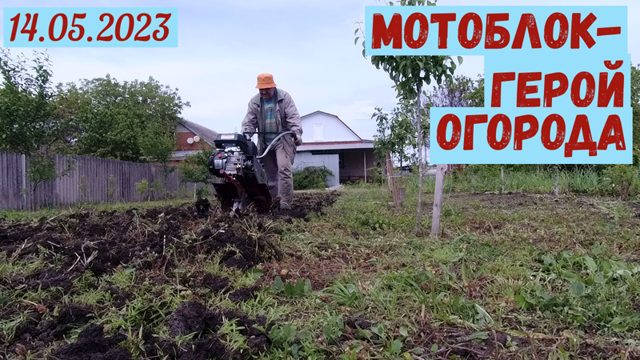 Краснодарский край. Обрабатываем участок мотоблоком(14.05.2023)