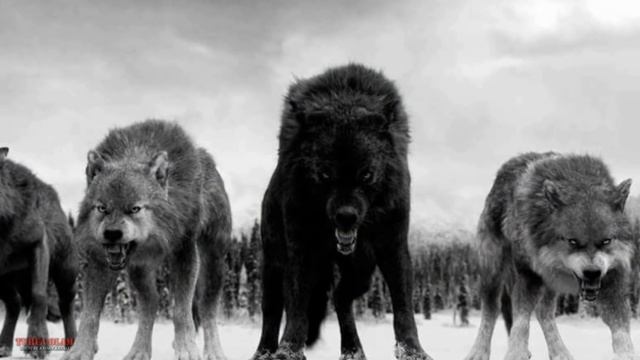 БУРИЛАР ХАКИДА СИЗ КУТГАН МАЪЛУМОТЛАР смотреть онлайн