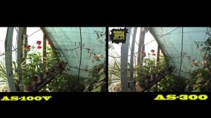 СОНИ HDR AS-100V И AS-300 ЧТО ЛУЧШЕ СНИМАЕТ ВИДЕО?