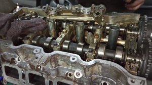 Toyota 2AR-FE сетка VVT-I где находится.