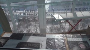 Посев гвоздики на рассаду, первые всходы.