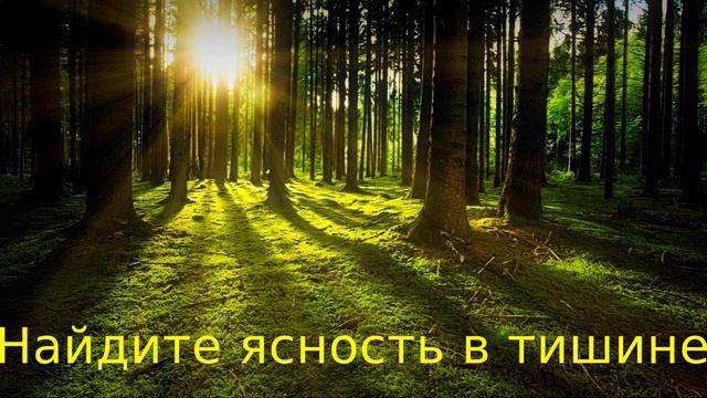 Священная тишина: управляемая медитация для обретения внутренней мудрости — под музыку