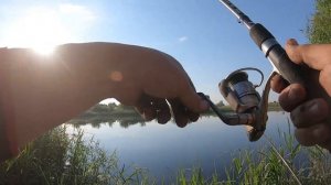 Летний фидер и крупные голавли. Тестирую Briscola Flint 2021