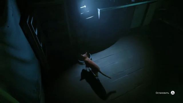 Stray - игра в кота смотреть онлайн