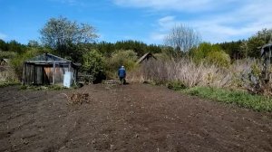 Работа культиватора патриот гарден.