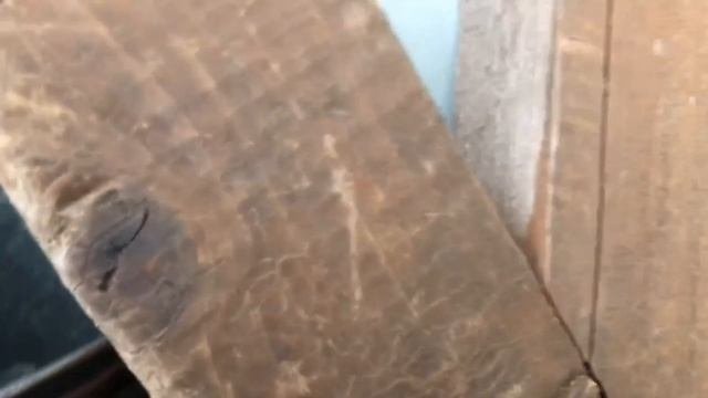 выходные на даче!!!??