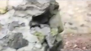 Строим дом из камня