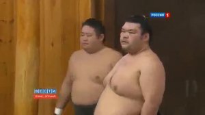 Смотрим, сумо в Японии не просто спорт, а вид искусства