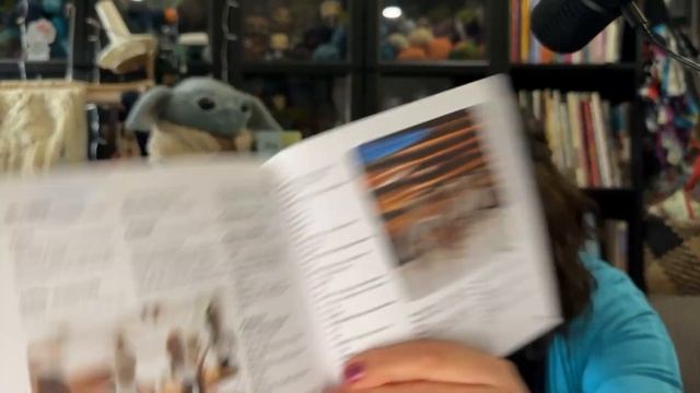 Check Out My Huge Amigurumi Book Collection!