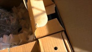 Почему я  выбираю питомник растений Garden plants? Заказ на весну 2021 года и распаковка посылки.