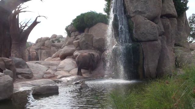 Valencia safari park Сафари парк в Валенсии