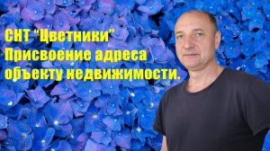 СНТ "Цветники". Присвоение адреса объекту недвижимости. Инструкция.