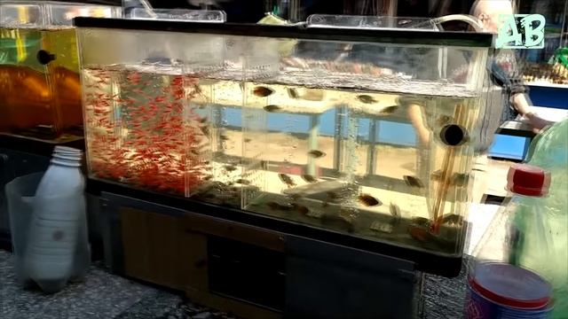 Птичий рынок в Украине Харьков во время выборов президента 2019! смотреть онлайн