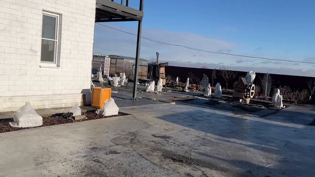 А вы приготовились к зиме? Укрываем растения, первогодки, а также хвойные, розы, гортензии. смотреть онлайн