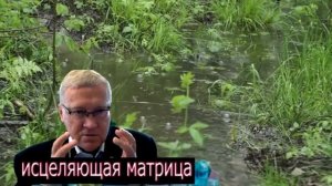 Матрицы Гаряева - три в одном (от депрессии, для сна и отдыха, музыка счастья)